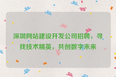 深圳網(wǎng)站建設(shè)開發(fā)公司招聘，尋找技術(shù)精英，共創(chuàng)數(shù)字未來