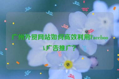 廣州外貿(mào)網(wǎng)站如何高效利用Facebook廣告推廣？