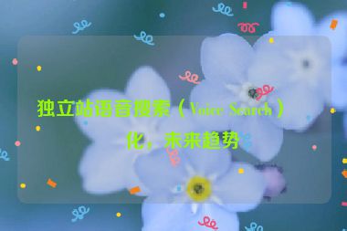 獨(dú)立站語(yǔ)音搜索（Voice Search）優(yōu)化，未來(lái)趨勢(shì)