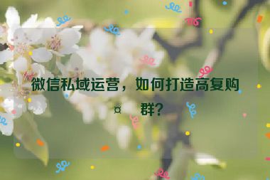 微信私域運(yùn)營，如何打造高復(fù)購社群？