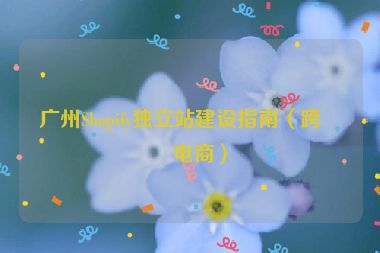 廣州Shopify獨(dú)立站建設(shè)指南（跨境電商）