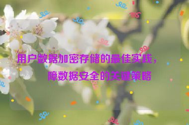 用戶數(shù)據(jù)加密存儲(chǔ)的最佳實(shí)踐，保障數(shù)據(jù)安全的關(guān)鍵策略