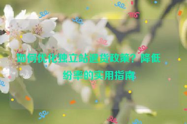 如何優(yōu)化獨(dú)立站退貨政策？降低糾紛率的實(shí)用指南