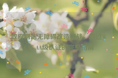 政府網(wǎng)站無(wú)障礙改造實(shí)戰(zhàn)，通過(guò)WCAG AA級(jí)認(rèn)證的完整指南