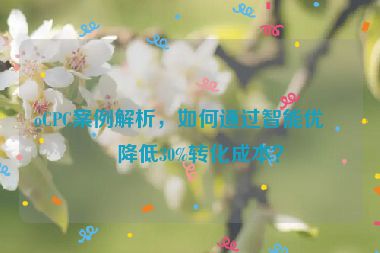 oCPC案例解析，如何通過智能優(yōu)化降低30%轉(zhuǎn)化成本？