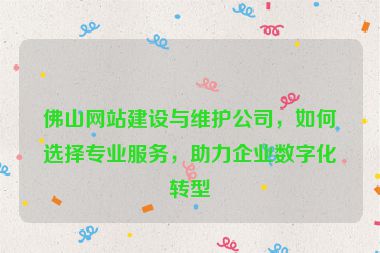 佛山網(wǎng)站建設(shè)與維護(hù)公司，如何選擇專業(yè)服務(wù)，助力企業(yè)數(shù)字化轉(zhuǎn)型