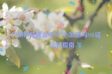 廣州網(wǎng)站建設中HTTPS加密與SSL證書選擇指南