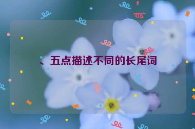 、五點描述不同的長尾詞
