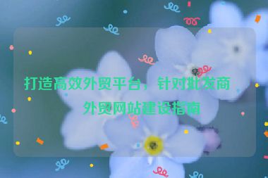 打造高效外貿(mào)平臺(tái)，針對(duì)批發(fā)商的外貿(mào)網(wǎng)站建設(shè)指南