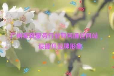 廣州家政服務行業(yè)如何通過網(wǎng)站建設提升品牌形象