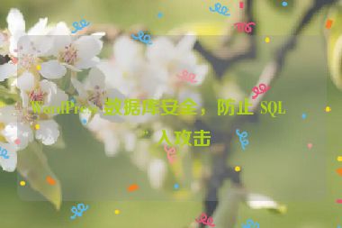 WordPress 數(shù)據(jù)庫安全，防止 SQL 注入攻擊