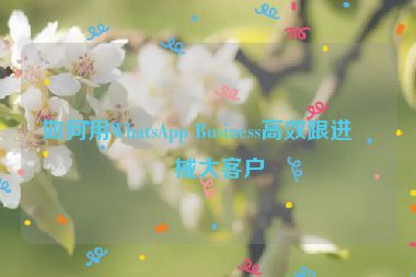 如何用WhatsApp Business高效跟進(jìn)機(jī)械大客戶(hù)