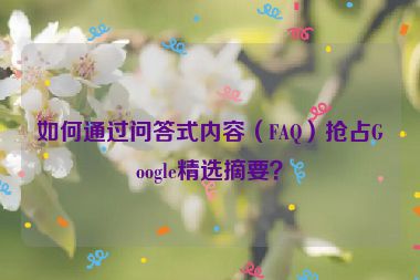 如何通過問答式內(nèi)容（FAQ）搶占Google精選摘要？