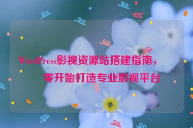 WordPress影視資源站搭建指南，從零開始打造專業(yè)影視平臺
