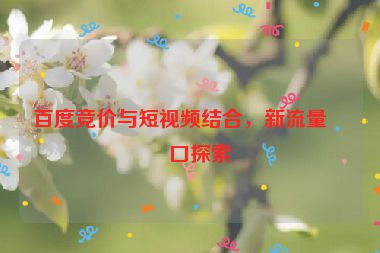 百度競價與短視頻結(jié)合，新流量入口探索