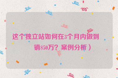 這個(gè)獨(dú)立站如何在3個(gè)月內(nèi)做到月銷(xiāo)$50萬(wàn)？案例分析）