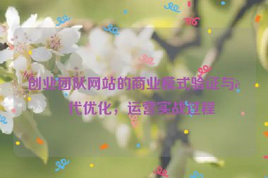 創(chuàng)業(yè)團(tuán)隊(duì)網(wǎng)站的商業(yè)模式驗(yàn)證與迭代優(yōu)化，運(yùn)營(yíng)實(shí)戰(zhàn)過(guò)程