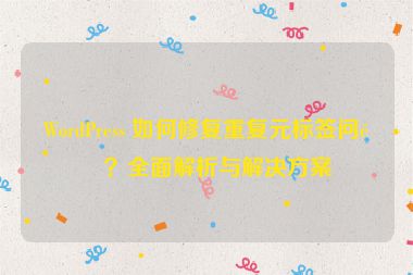 WordPress 如何修復(fù)重復(fù)元標(biāo)簽問題？全面解析與解決方案
