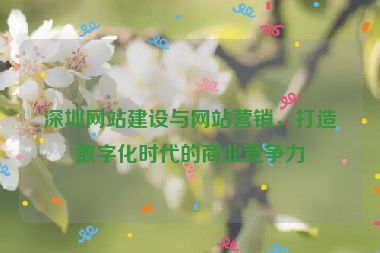 深圳網(wǎng)站建設(shè)與網(wǎng)站營(yíng)銷(xiāo)，打造數(shù)字化時(shí)代的商業(yè)競(jìng)爭(zhēng)力
