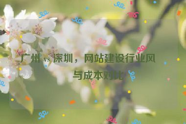 廣州 vs 深圳，網(wǎng)站建設行業(yè)風格與成本對比