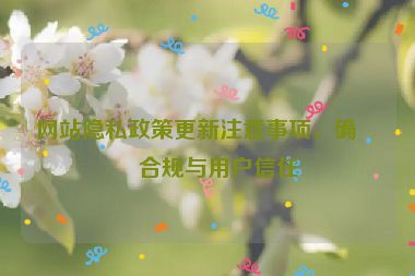 網(wǎng)站隱私政策更新注意事項(xiàng)，確保合規(guī)與用戶(hù)信任