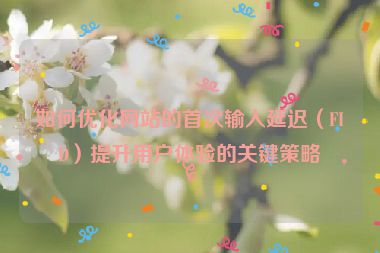 如何優(yōu)化網(wǎng)站的首次輸入延遲（FID）提升用戶(hù)體驗(yàn)的關(guān)鍵策略