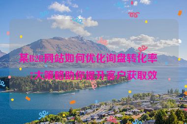 某B2B網(wǎng)站如何優(yōu)化詢盤轉(zhuǎn)化率？7大策略助你提升客戶獲取效率