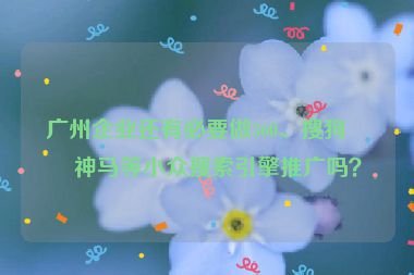 廣州企業(yè)還有必要做360、搜狗、神馬等小眾搜索引擎推廣嗎？