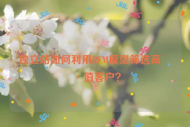 獨立站如何利用RFM模型篩選高價值客戶？