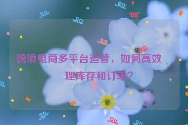跨境電商多平臺運營，如何高效管理庫存和訂單？