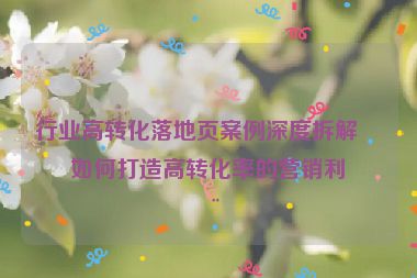 行業(yè)高轉(zhuǎn)化落地頁(yè)案例深度拆解，如何打造高轉(zhuǎn)化率的營(yíng)銷(xiāo)利器