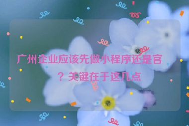 廣州企業(yè)應(yīng)該先做小程序還是官網(wǎng)？關(guān)鍵在于這幾點