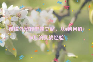 傳統(tǒng)外貿(mào)轉(zhuǎn)型獨(dú)立站，從0到月銷(xiāo)$10萬(wàn)的實(shí)戰(zhàn)經(jīng)驗(yàn)