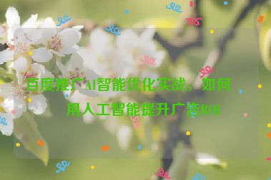 百度推廣AI智能優(yōu)化實戰(zhàn)，如何利用人工智能提升廣告ROI