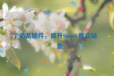 5個必備插件，提升Shopify獨立站功能