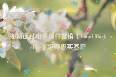 如何通過電子郵件營銷（Email Marketing）培養(yǎng)忠實客戶