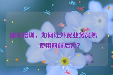 團(tuán)隊(duì)培訓(xùn)，如何讓外貿(mào)業(yè)務(wù)員熟練使用網(wǎng)站后臺(tái)？