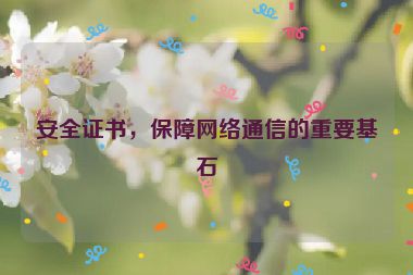 安全證書，保障網(wǎng)絡(luò)通信的重要基石