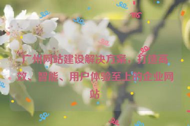 廣州網(wǎng)站建設(shè)解決方案，打造高效、智能、用戶體驗至上的企業(yè)網(wǎng)站