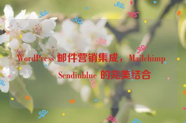 WordPress 郵件營銷集成，Mailchimp 與 Sendinblue 的完美結(jié)合