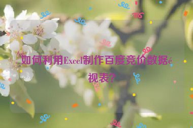 如何利用Excel制作百度競價數(shù)據(jù)透視表？