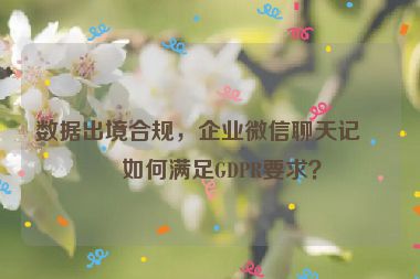 數(shù)據(jù)出境合規(guī)，企業(yè)微信聊天記錄如何滿足GDPR要求？