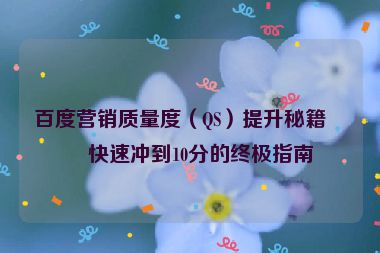 百度營(yíng)銷(xiāo)質(zhì)量度（QS）提升秘籍，快速?zèng)_到10分的終極指南