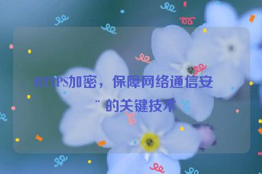 HTTPS加密，保障網(wǎng)絡(luò)通信安全的關(guān)鍵技術(shù)