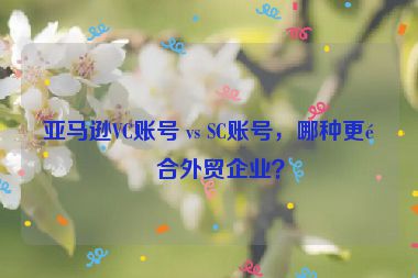 亞馬遜VC賬號 vs SC賬號，哪種更適合外貿(mào)企業(yè)？