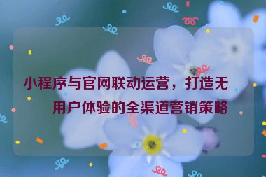 小程序與官網(wǎng)聯(lián)動(dòng)運(yùn)營，打造無縫用戶體驗(yàn)的全渠道營銷策略