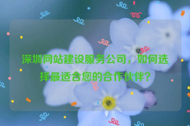 深圳網(wǎng)站建設(shè)服務(wù)公司，如何選擇最適合您的合作伙伴？