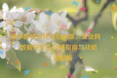 筑牢數(shù)字時(shí)代企業(yè)根基，企業(yè)網(wǎng)站數(shù)據(jù)安全法合規(guī)指南與戰(zhàn)略價(jià)值探析