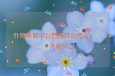 外貿(mào)電商平臺直播帶貨模式，海外新風(fēng)口