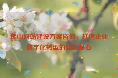 佛山網(wǎng)站建設(shè)方案咨詢，打造企業(yè)數(shù)字化轉(zhuǎn)型的堅(jiān)實(shí)基石
